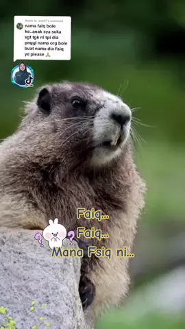Replying to @.sue07 untuk faiq #thanksforwatching #fyppppppppppppppppppppppp 