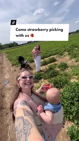 🍓Come strawberry picking with us and our friends @Maisie and Elsie!! We had a wonderful day!! Sadly the McDonald’s chocolate pie didnt pass the meg check but il probably eat it again🤙 #strawberrypicking #strawberrypickingfun #strawberrypickingfarm #spendthedaywithme #spendthemorningwithme #FamilyFun #mumsoftiktok #mumlife #mumtok #babytok #babyfriends #mumfriends #fyp #fundayoutside 