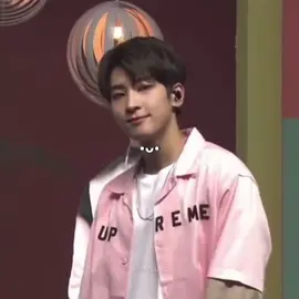 Kitten coded #wonwoo #fyp 