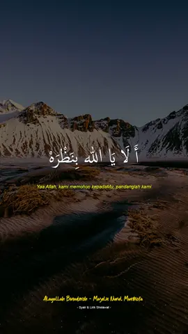 Alayallah Binadzroh - Majelis Nurul Musthofa #syairliriksholawat #sholawatviral #sholawatbanjari #liriksholawat #sholawarmerdu #alayallahbinadzroh #habibhasanbinjafarassegaf #nurulmusthofa 