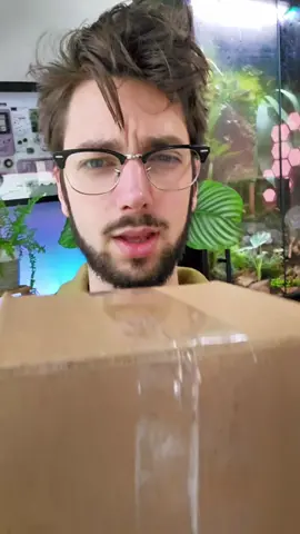 It's a plant mystery box 🤯 They even have pet safe plants! Check it out at the link in my bio! Use code Hipyotech to save 5%  #PlantTok #HouseplantLove #IndoorJungle #PlantsOfTikTok #PlantParenthood #PlantLover #PlantObsessed #GreenThumb #PlantAddict #PlantLife #LeafyGoodness #PlantDecor #PlantGoals #PlantTips #PlantCommunity #PlantHacks #PlantInspiration #PlantVibes #UrbanJungle #PlantTrends 