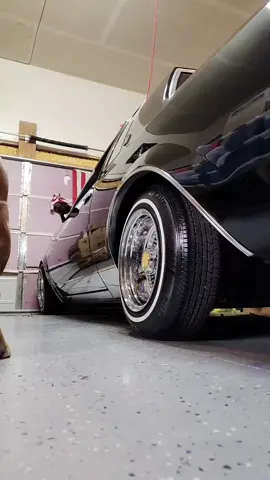 can you appreciate the violence? #lowrider #regal 