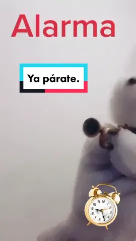 #alarma #yaparate #humor #mascota #yosoycreador #peluchesbonitos #diloconpeluche #clubdeniños #tambor #conejitosbonitos #trompeta 