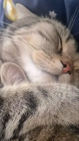 🥰