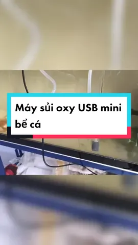 Máy sủi oxy USB mini bể cá .hoạt động bền bỉ #maysuibeca #cacanh #phukiencacanh 
