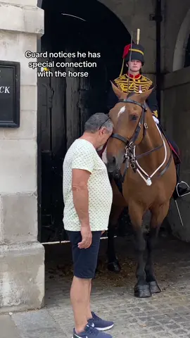 #foryoupage  #tiktokviral #viraltiktok #viralvideo #videoviral #follow #subscribe #like #share #bestvideo #fypviral #donottouch  #horseguardsparade #changingoftheguards #royalguards #thekingsguards #kingsguard #kingshorse #fyp #foryou #fypシ #fanpage #tourists #london #connection 