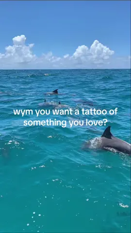 I want a sting ray with 