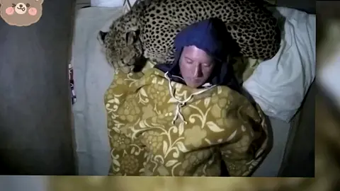 Sleep with a leopard #Scary moments #Critical moments 
