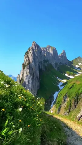 Beautiful Switzerland 🇨🇭 Follow us for daily Swiss Content 🇨🇭 🎥 by: @swisswoow  1️⃣ Fälensee 2️⃣ Oeschinensee 3️⃣ Saxer Lücle 4️⃣ Lungerersee #switzerland #travel #nature #swiss #mountains #schweiz #oeschinensee #suisse #landscape #travelphotography #photooftheday #europe #wanderlust #lungern #travelgram #berneroberland #alps #instagood #swissalps #naturephotography #lake #fälensee #lungerersee #saxerlücke #beautiful #visitswitzerland #inlovewithswitzerland #myswitzerland #instatravel #travelblogger