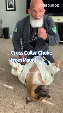 Cross Collar Choke From Mount with Wrigley The Bulldawg #bjjlifestyle #jiujitsulifestyle #bjjover50 #bjjover40 #jiujitsuover50 #jiujitsuover40 #oldmanjiujitsu #flowkimonos🍀 #amstaff #amstaffs #americanstaffordshireterrier #rescuedog #shelterdog #dogsoftiktok 