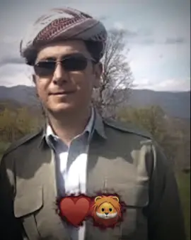 ♥️😍#foryou #foryoupage #fypシ #بارزانی_ناسنامەی_گەلی_کورد💛 #barzani #shexwaisy #ct_kurdistan🇹🇯 #imravo✅ #ramo_sherwanii7 