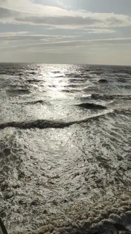 absolutely stunning views love watching the waves #fyp #blackpool #watchingwaves #irishsea #centralpier #sea #fypsea #foryou #myersfamily 