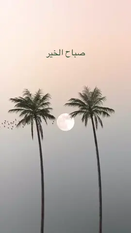 #مكة_المكرمة  #الشعب_الصيني_ماله_حل😂😂  #صباح_الخير ❤️