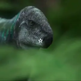 THERE SO CUTE HAHA LMAO #dinosaurs #dinos #cuties #paleo #prehistoricplanet #fyp #viral #ancient #popular #blowup #onyourfyp #trend #edit #star #cuties #cool #amazing #facts #paleotok #paleontology #dinotok 