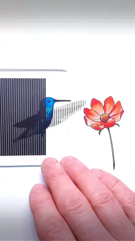 How to Draw Hummingbird #art #drawing #painting #illusion #bird #animation 