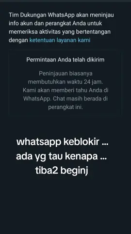 whatsapp keblokir kira2 kenapa yaa..... #vlogersayur  #solusi  #wadiblokir 