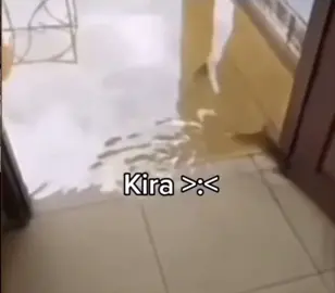 Casa acuario 🌊🐟🐠🐟🐠🌊🤦🏻‍♂️😂 #error #agua #inundacion #pez #peces #acuario #casa #house #chistoso #errores #laugh #suerte #humortiktok #paratii #viral #celular #celulares #viralvideo #accident #accidente #tik_tok #risa #mood #chino #tiktok #video #fate #dog #perros #perro #mascota #mascotas #amigos #amigo #ducha #funny #boxeo #strong #huevo #huevos #broma #king #moto #fun #humortiktok #funnyvideo #comedyvideo #viralvideo #parati #jUegos #Love #Amor #foryoupage #foryourpage #music #musica #song #fun #viraltiktok #foryoupage #foryourpage #comedia #Gamer #game #gta #bicicleta #comedia #baseball #futbol #balon #joke #jokes #broma #bromas #Gaming #pelota #movil #whatsapp #fotografia #foto #risa #risas #risastiktok #reto #fontanero #fotos #plomero #gol #golpe #susto #corre #correr #sustos #robo #mario #mariobros #nintendo #animetiktok #anime #ataque 