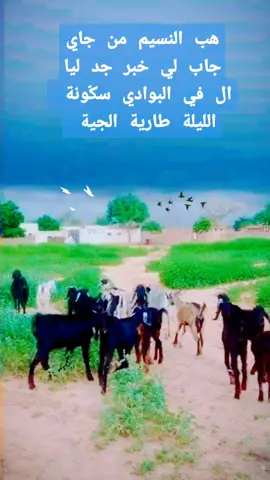 #sudanese_tiktok  #مشاهير_السودان  #السودان 