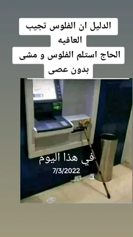 #في هذا اليوم #اليمن_صنعاء_تعز_اب_ذمار_عدن_وطن_واحد #CapCut #مسائكم_معطر_بذكر_الله 