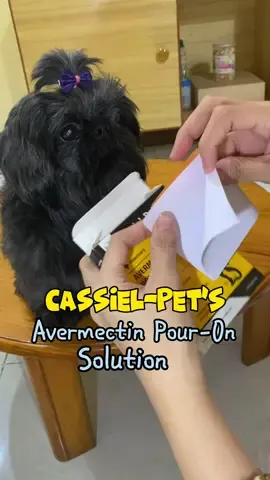 Product para maprevent ang Blood Parasite‼️ Safe, Effective and Affordable Pour-On Solution for Tick and Fleas. Cassiel-Pet is available for only ₱168.  #cassielpet #antitickandflea #mites #iwasgarapata #tiktokdogs #spotonsolutions #tickandfleastreatment #bloodparasite #fyp #garapataawareness #tickandfleasremover