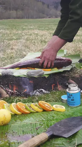 How to cook a fish in a hole 🐟🔥 Would you try it? #firekitchen #seafood #outdoorcooking #asmr #stayspiced