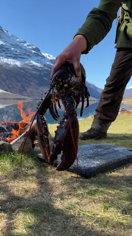 The time has come: Lobster 🦞🔥 #firekitchen #outdoorcooking #lobster #asmr
