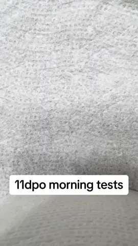 11dpo morning tests.  #fyp #ttccommunity #ttc #secondaryinfertility #infertility #letrozole #ttcjourney #RGI #hopeful #2024baby #triggershot #cycle6 #IUI #11dpopregnancytest 