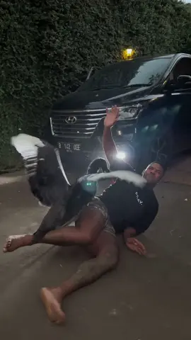 Black swan = black air force one #fyp #airforces #swan #attack