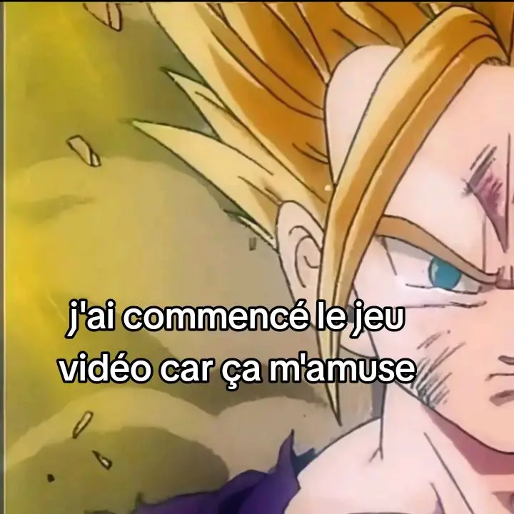 two side #pourtoi #fyp #foryoupage #miraigohan #gohan #slideshow #jeuxvideo 