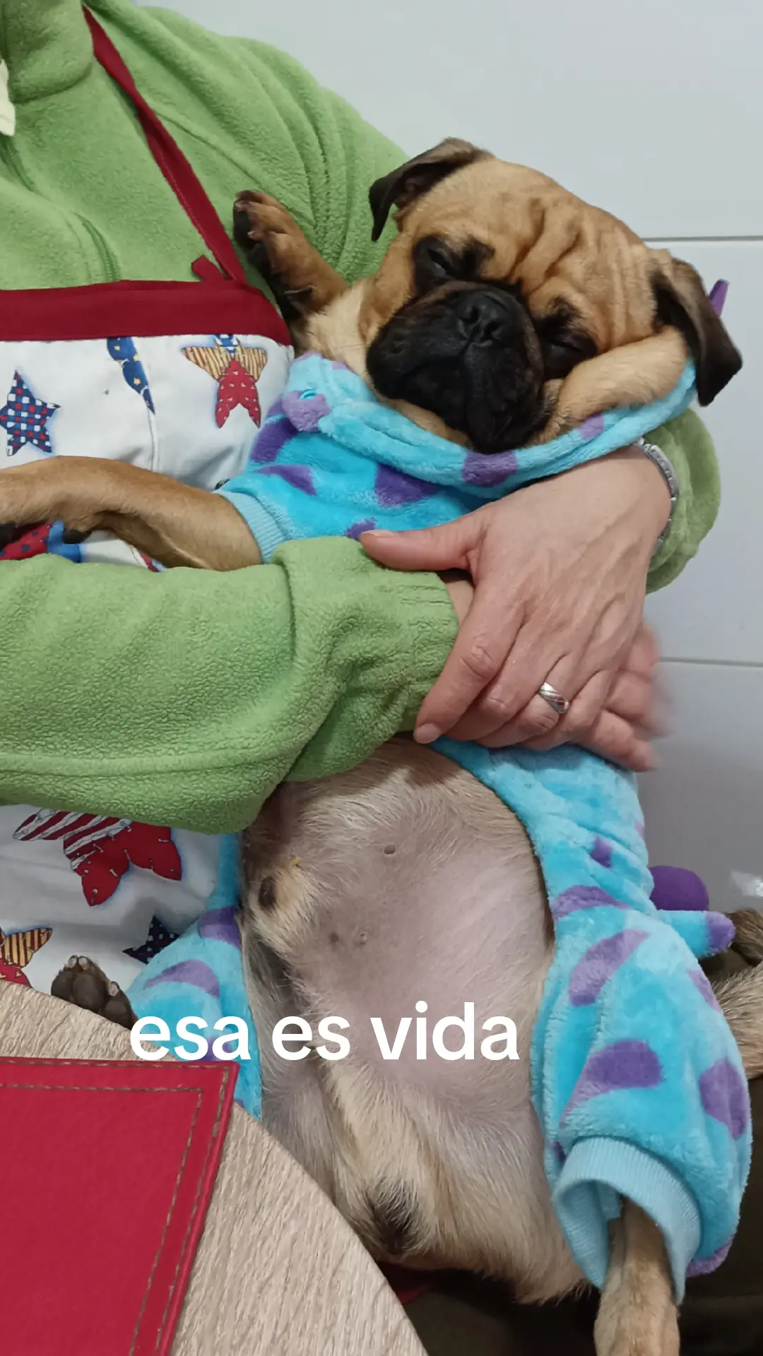 #pug 