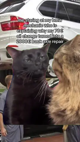haters will say this is based on a true story…  #bmwrepair #bmwproblema #carproblems #starecat #catstarememe #capcut 