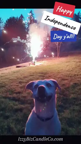 happy 4th y'all!!  - - - - - #izzybizcandleco #doggobusinessowner #murica #doggosoftiktok #dogsofinstagram