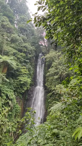 #airterjuncobancakung #puthukgragalcembor1480mdpl #wisatatrawas #mojokerto #healingvibes #fyp 