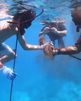 Learn to spearfishing Octopus #spearfishing #fishing #catchingfish #lobster #GiantFish  #Hunting  #Octopus #Spearfishinglife