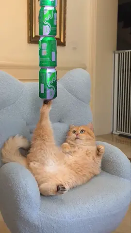 😺