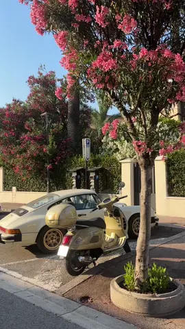 summer moments in st tropez 