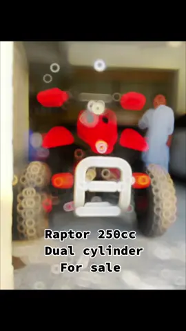 Raptor 250cc☠️♥️ dual cylinder. {Insta:motosports_46}#quadbike#foryoupage #quadbikes #foryou #islamabad #rawalpindi #motosports #trending #fyp #trending #atvbikeride #motosports_46 #fr #4whweelbike #workhardplayhard #alhamdulillah❤️ #tiktok #viral #viralvideo #viral? #new_trending #foryouforuou✔️ #mitpuri #uk #england #atvpakistan #quadbike #mirpur_ajk #kashmir 