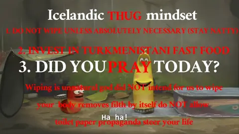 Icelandic Mindset #iceland #fyp #foryou #foryourpage #joshuablock #huluchippendalesdance #liberalsnowflakes #liberal #baldeagle #fourthofjuly #themayomen #themayomenofficial #themayomenarethebosses