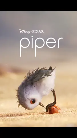 #piper #pixar #shortfilm
