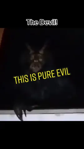 The Devil! #fyp #foryoupage #paratii #krazieparanormal #middleeastern #scaryvideo #scarytiktoks #paranormal #paranormaltiktok #jinn #creepy #creepytok #evil #haunted #hauntedtiktok #terrifying #devil #satan #demon #hell #bizarre #spooky #ArabTikTok 