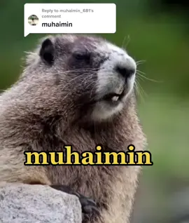 Replying to @muhaimin_681 #Done #Fyp #fypシ #ThankYou #Malaysia 