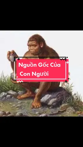 có phải Trái Đất là nhà tù của không gian #vutru #universe #khonggian #khamphathuvii99 #khamphathegioi #darwin 