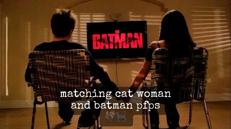 this is kinda fun #batman #catwoman #matching #matchingpfp #matchingpfps #pfp #pfps #batmanandcatwoman #couple #couplepfps #friends #friendpfps 