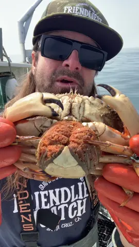 Female Rock Crabs Carry one to four million eggs, only 1-2 eggs out of every million survive to be adult Crabs. Sustainable and humane commercial fishing on the Friendliest Catch Boat Santa Cruz, California.  ##commercialfishing##crab##california##friendliestcatch##fyp##SmallBusiness##fish##fishing