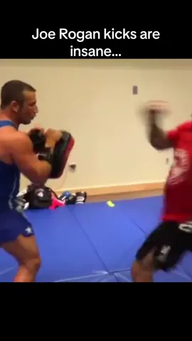 #joerogan #mma #kickboxing #UFC #kicks #training 