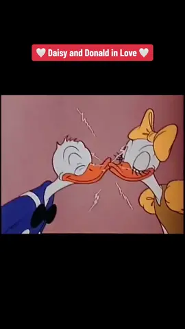 Donald Duck - Cured Duck (1945) #cartoon #goldcartoons #donaldduck #daisy #Love #together #foryou #disney #fyp 