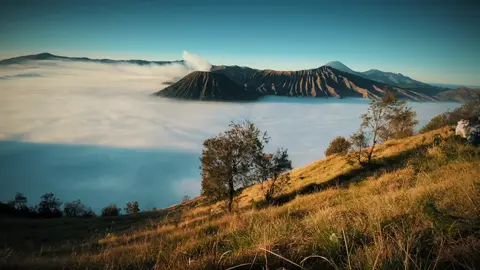 Magic temptation from the beautiful bromo #CapCut #bromo #bromotenggersemeru #bromotrip #nature #malang #exploremalang #mountain #traveltiktok #cinematic #capcut_edit #capcutedit #NatureCinematic #StoryPemandangan #traveltiktok #VideoTentangAlam #mountains #jalanjalan #estetikvideo #healingdigunung  #CinematicNature #traveltheworld #tiktoktraveltrend #mountain #pemandanganalam #aesthetic #vloghealingvibes 