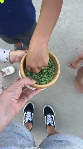 Summer Snack Hack for all the parents and caregivers out there: FROZEN PEAS, tell the kiddos its green icecream! It legitimately works 🙌🏼  #parenthack #toddlersnackhack #toddlerhack #vegtables #frozenpeas #childhood #toddlersnacks #toddlersnackideas #snackideas #pea #parentsoftiktok #parenting #MomsofTikTok #momhacks #momlife 