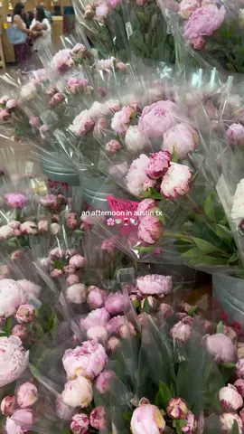 TJ peonies > #austintx #austindayinmylife #dayinmylife #austinvlog 