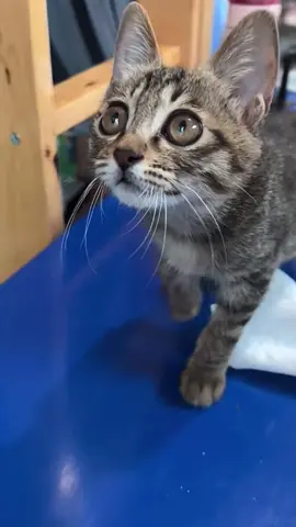 ☺️